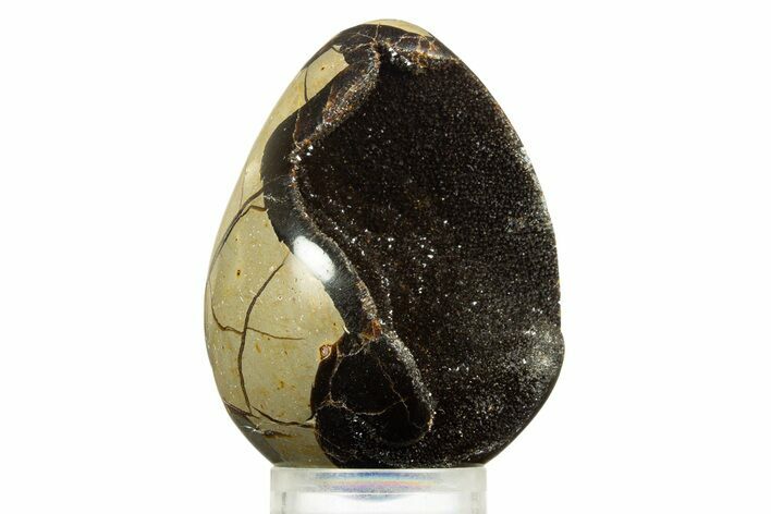 Septarian Dragon Egg Geode - Sparkly Black Crystals #344439